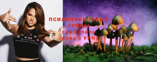 хмурый Богданович