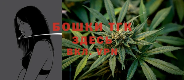 МДПВ Богородск