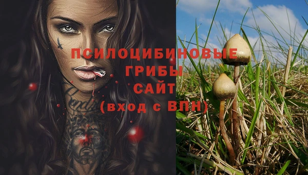 МДПВ Богородск