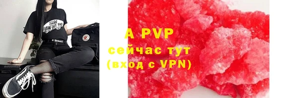 СК Богородицк