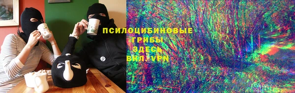 СК Богородицк