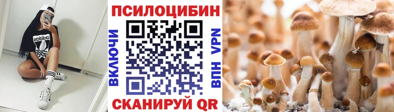 Псилоцибиновые грибы мицелий  дарнет шоп  Городец 
