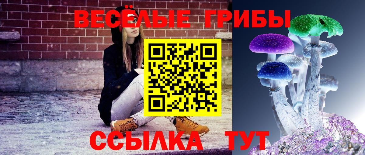 Городец  Галлюциногенные грибы Cubensis  Вход с VPN  Галлюциногенные грибы MAGIC MUSHROOMS 
